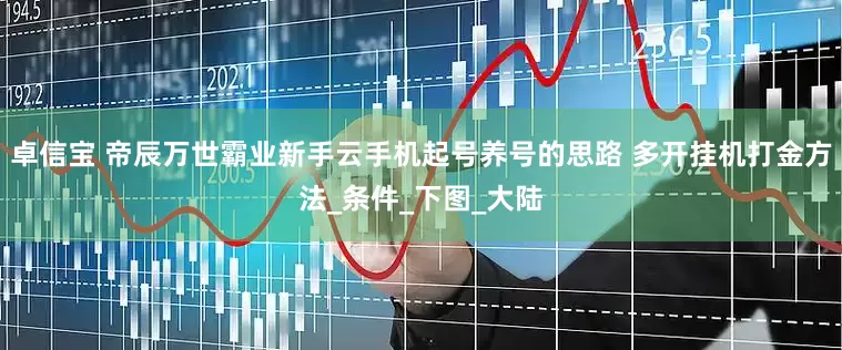 卓信宝 帝辰万世霸业新手云手机起号养号的思路 多开挂机打金方法_条件_下图_大陆