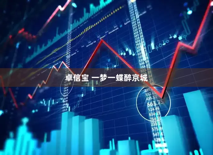 卓信宝 一梦一蝶醉京城