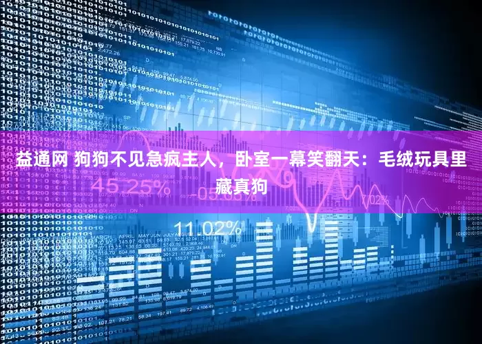 益通网 狗狗不见急疯主人，卧室一幕笑翻天：毛绒玩具里藏真狗