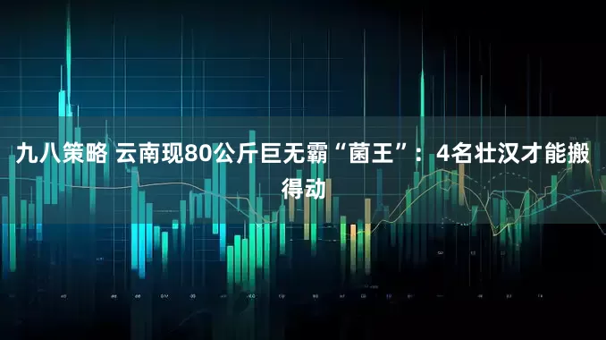 九八策略 云南现80公斤巨无霸“菌王”：4名壮汉才能搬得动