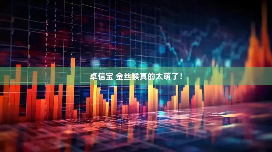 卓信宝 金丝猴真的太萌了！